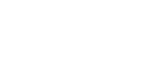 Pilar Projects